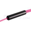 Picture of 3m (10ft) MTP Male to 6 LC UPC Duplex 12 Fibers Type A Plenum (OFNP) OM4 (OM3) 50/125 Multimode Elite Breakout Cable, Magenta