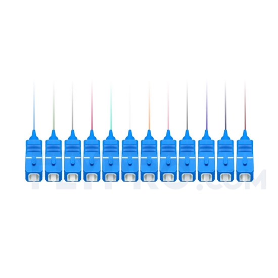 Image de 1m Pigtail à Fibre Optique à Code Couleur SC UPC 12 Fibres OS2 Monomode, Sans Gaine