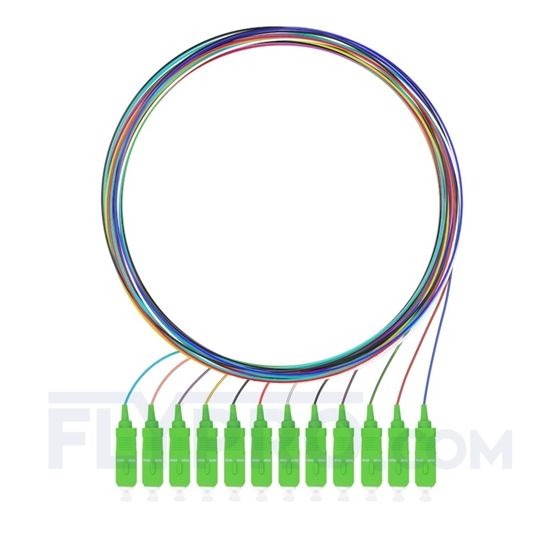 Bild von LWL-Pigtail SC, 12 Fasern SC APC, OS2 Singlemode farbcodiert - nicht ummantelt 1m (3ft)