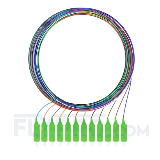 Bild von LWL-Pigtail SC, 12 Fasern SC APC, OS2 Singlemode farbcodiert - nicht ummantelt 2m (7ft)