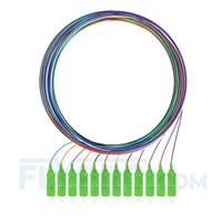 2m Pigtail à Fibre Optique à Code Couleur SC APC 12 Fibres OS2 Monomode, Sans Gaine