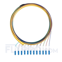 1,5m Pigtail à Fibre Optique LC UPC 12 Fibres OS2 Monomode Faisceau PVC (OFNR) 0,9mm