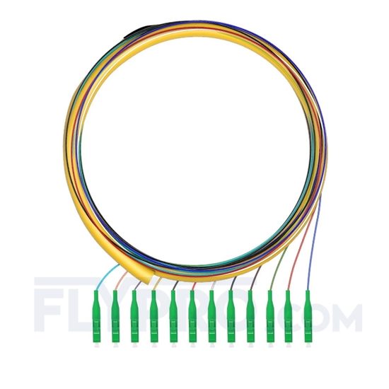 Picture of 1.5m (5ft) LC APC 12 Fibers OS2 Single Mode Bunch PVC (OFNR) 0.9mm Fiber Optic Pigtail