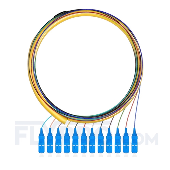 Picture of 1.5m (5ft) SC UPC 12 Fibers OS2 Single Mode Bunch PVC (OFNR) 0.9mm Fiber Optic Pigtail