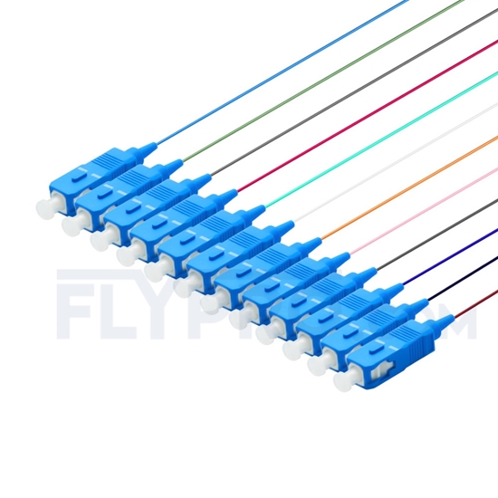 Picture of 1.5m (5ft) SC UPC 12 Fibers OS2 Single Mode Bunch PVC (OFNR) 0.9mm Fiber Optic Pigtail