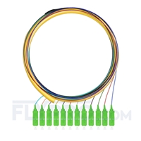 1,5m Pigtail à Fibre Optique SC APC 12 Fibres OS2 Monomode Faisceau PVC (OFNR) 0,9mm