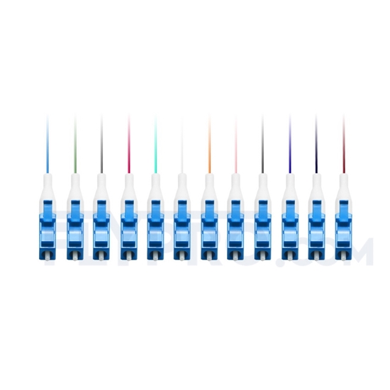 Picture of 1.5m (5ft) LC UPC 12 Fibers OS2 Single Mode Bunch PVC (OFNR) 0.9mm Fiber Optic Pigtail